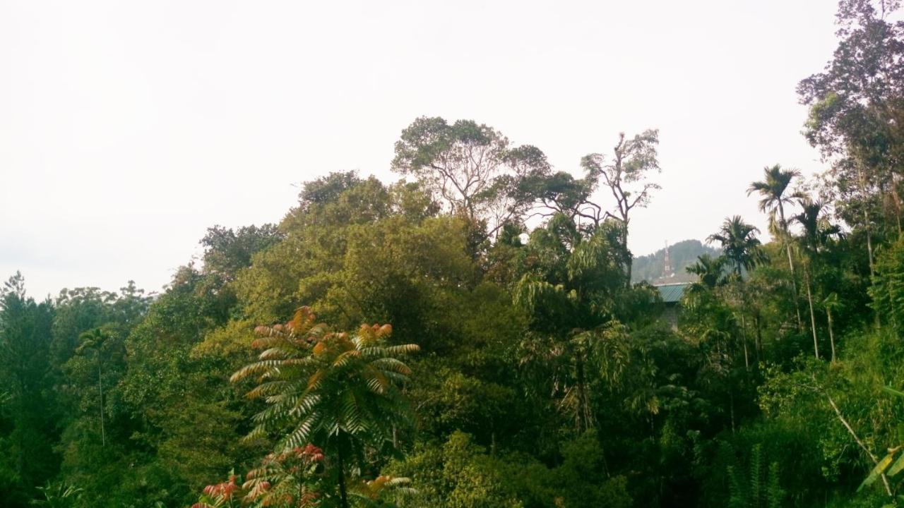 Nature Village Inn إيلا المظهر الخارجي الصورة